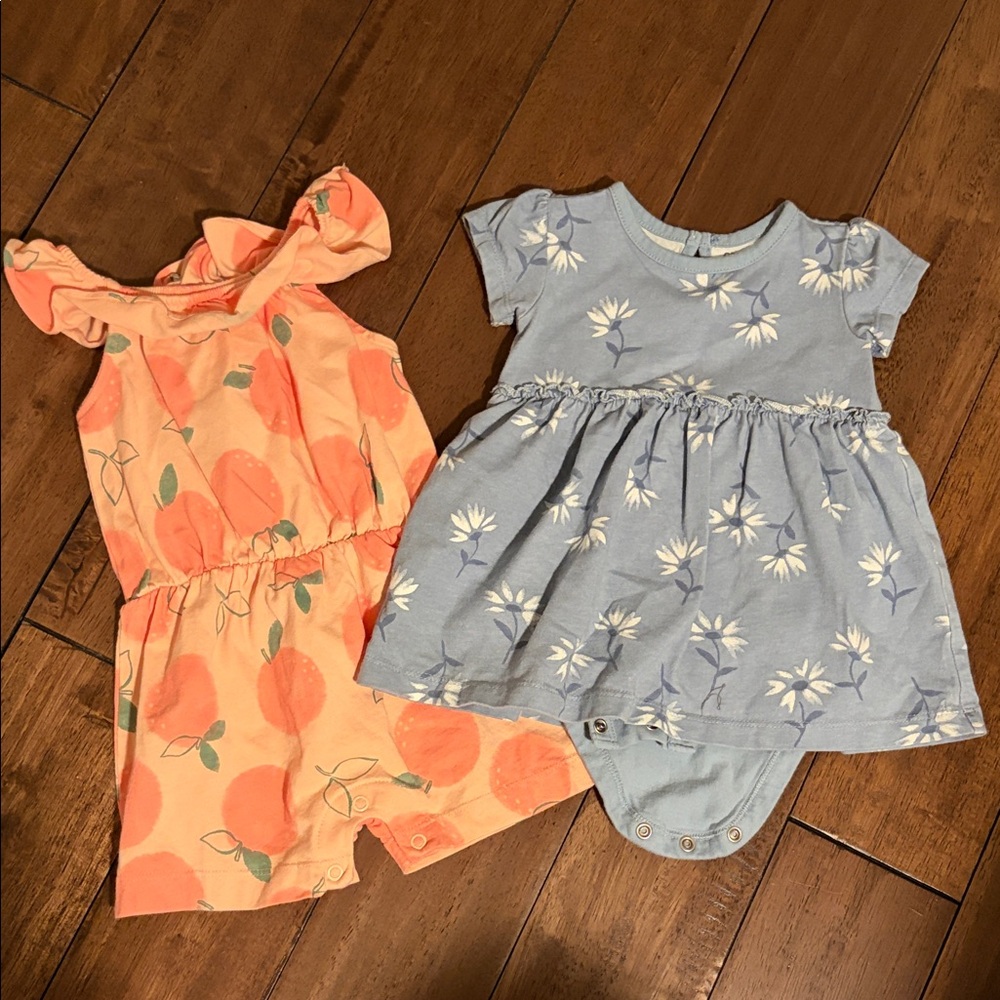 Carter's Peach and Blue Floral Bodysuits